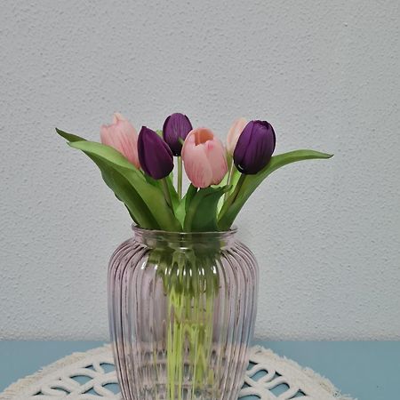 Casa Vacanza Il Tulipano Никелино Екстериор снимка